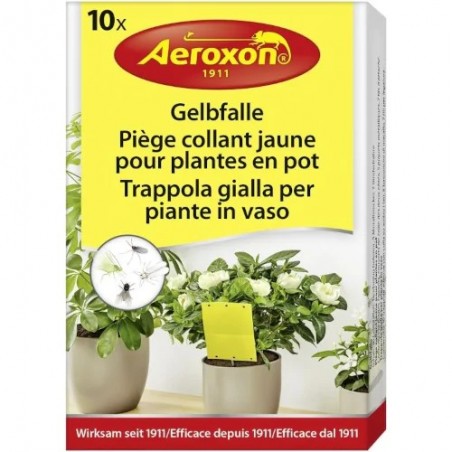 Aeroxon Gelbfalle